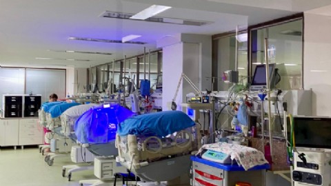 Reconocen con la Mención de Honor Juan Bautista Alberdi al servicio de Neonatología del Hospital Penna