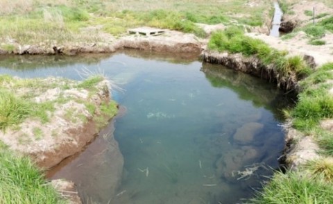 VIDEO | Se viene "un verano complicado" advierte el intendente de Punta Alta por la falta de agua
