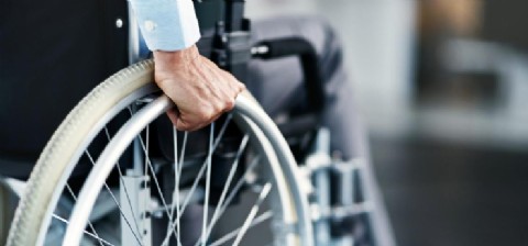 Actividades en el marco del Día Internacional de las Personas con Discapacidad