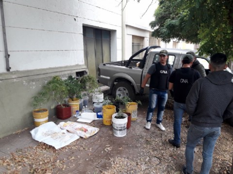 Dos concejales de Cambiemos fueron detenidos en Tornquist con plantas de marihuana