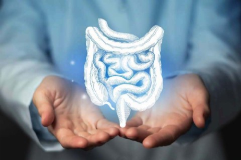 Anuncian jornadas de prevención del cáncer de colon