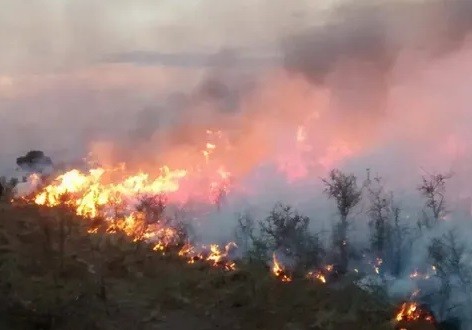 Punta Alta: prohíben la quema de pastizales para prevenir incendios forestales