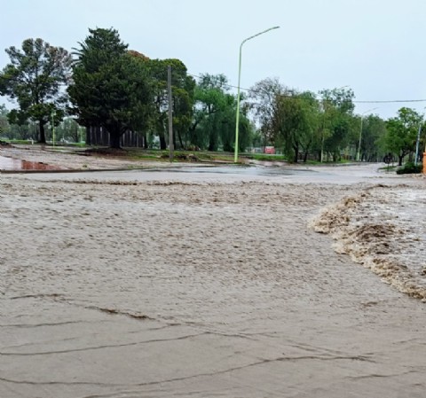 El Senado declaró la emergencia y zona de desastre para Bahía Blanca y Punta Alta