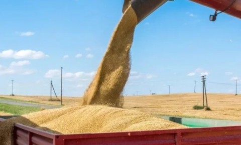 Tremendo: le robaron unas 20 toneladas de trigo