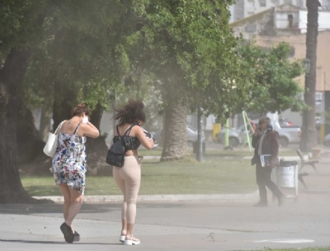 Recomiendan precauciones por los fuertes vientos que azotan a la ciudad