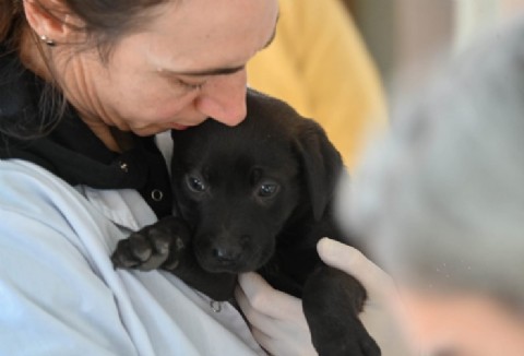Nueva semana de atención veterinaria municipal y gratuita