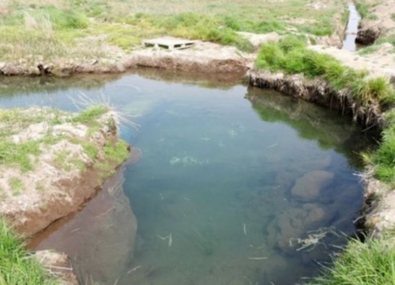 VIDEO | Se viene "un verano complicado" advierte el intendente de Punta Alta por la falta de agua