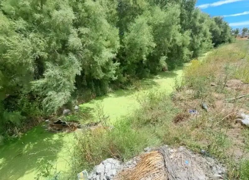 Hallaron el cuerpo de un hombre en un zanjón de la ciudad